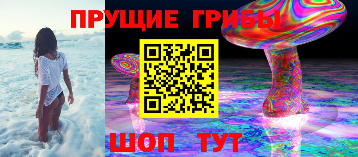 Бошки Шишки Новодвинск